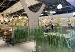 餐廳生意不好應該怎么辦，餐飲老兵的8條建議：其中有幾條餐飲人都踩過！